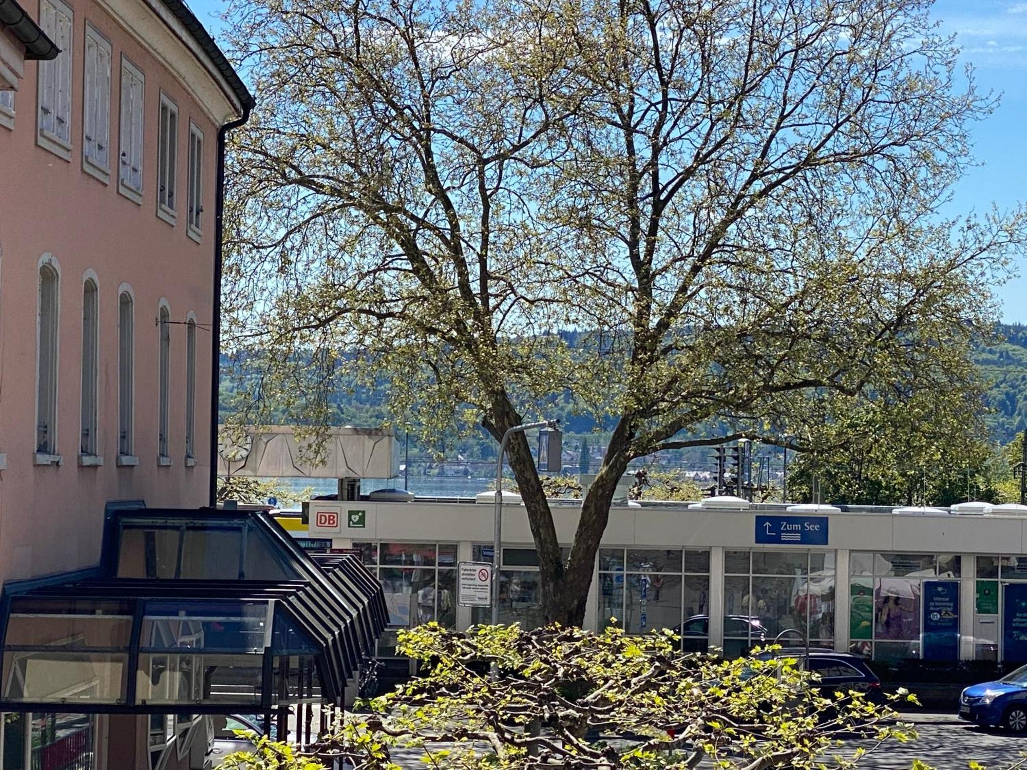 Ferienwohnung Seeromantik In 2 Minuten Am See Radolfzell am Bodensee Exteriör bild