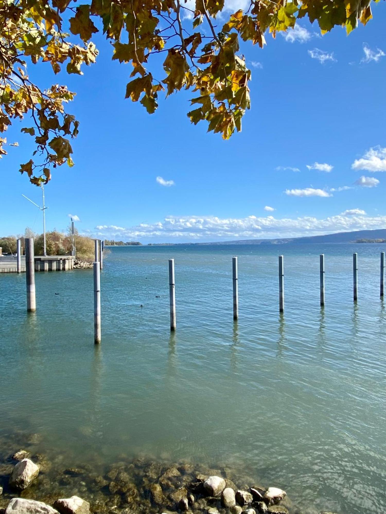 Ferienwohnung Seeromantik In 2 Minuten Am See Radolfzell am Bodensee Exteriör bild